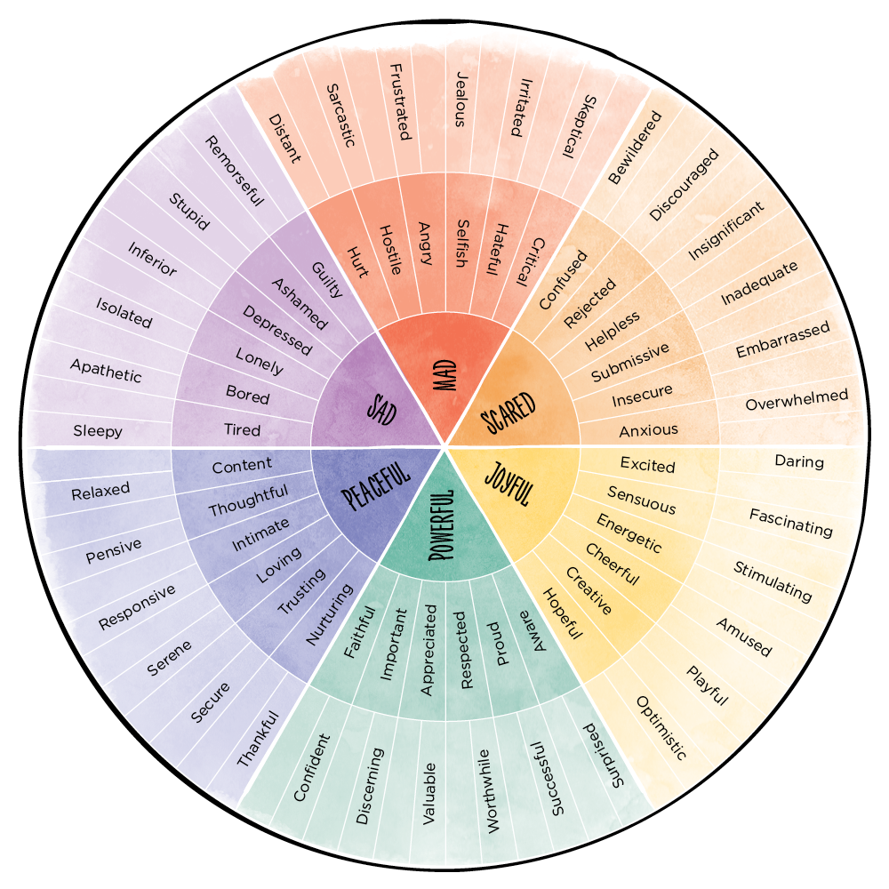 TheFeelingWheel
