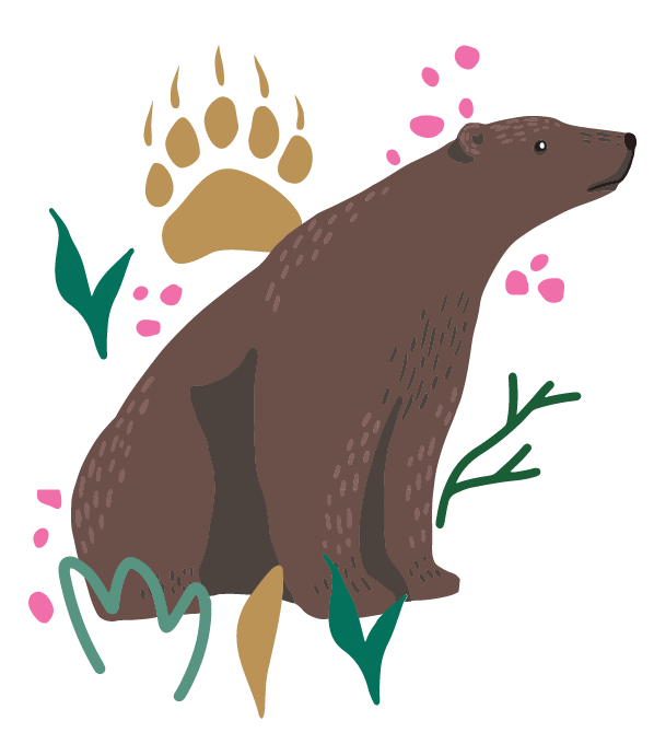 facingfearedsituations-bear2