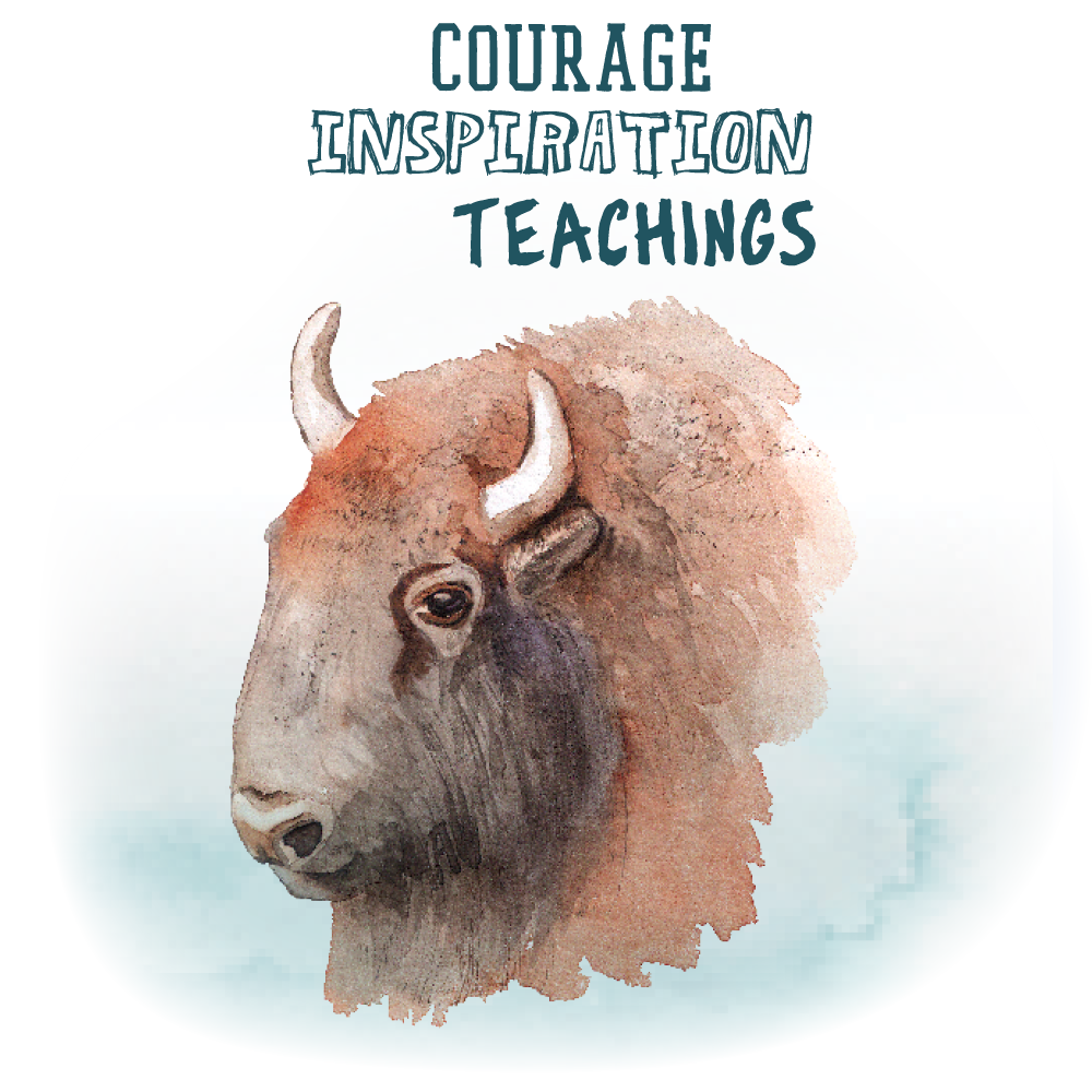 journal-bison