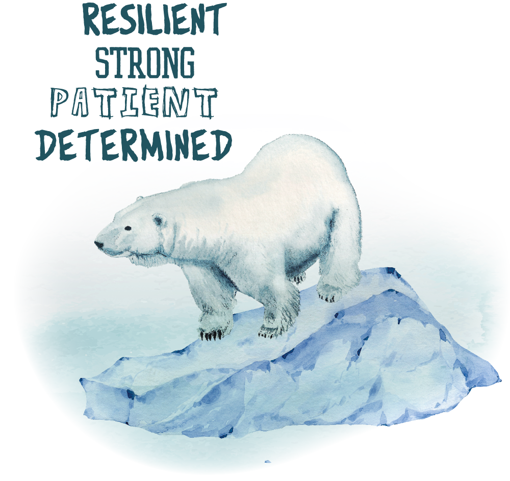 journal-polarbear